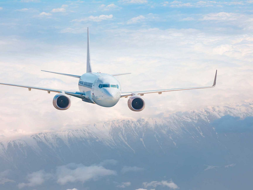 Plane in Flight